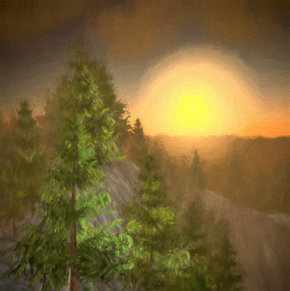 Sundown Pines
